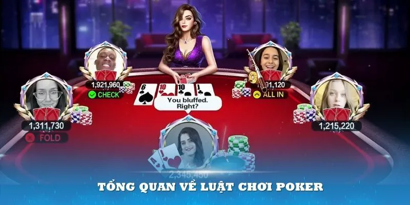 Hướng Dẫn Cách Chơi Poker Qua 5 Vòng Cược Kịch Tính